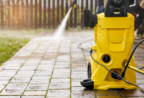 Best Roof Washing  in Occidental, CA